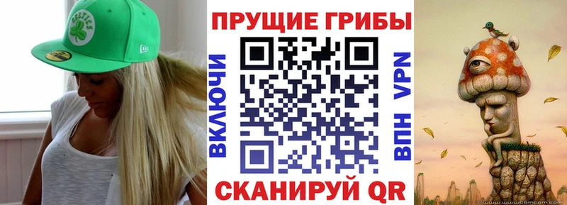 Галлюциногенные грибы мицелий Снежинск