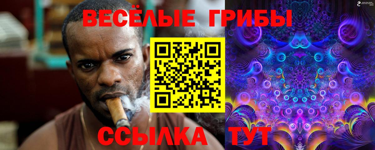 Псилоцибиновые грибы Magic Shrooms  Вход с VPN  Псилоцибиновые грибы мицелий  Снежинск 